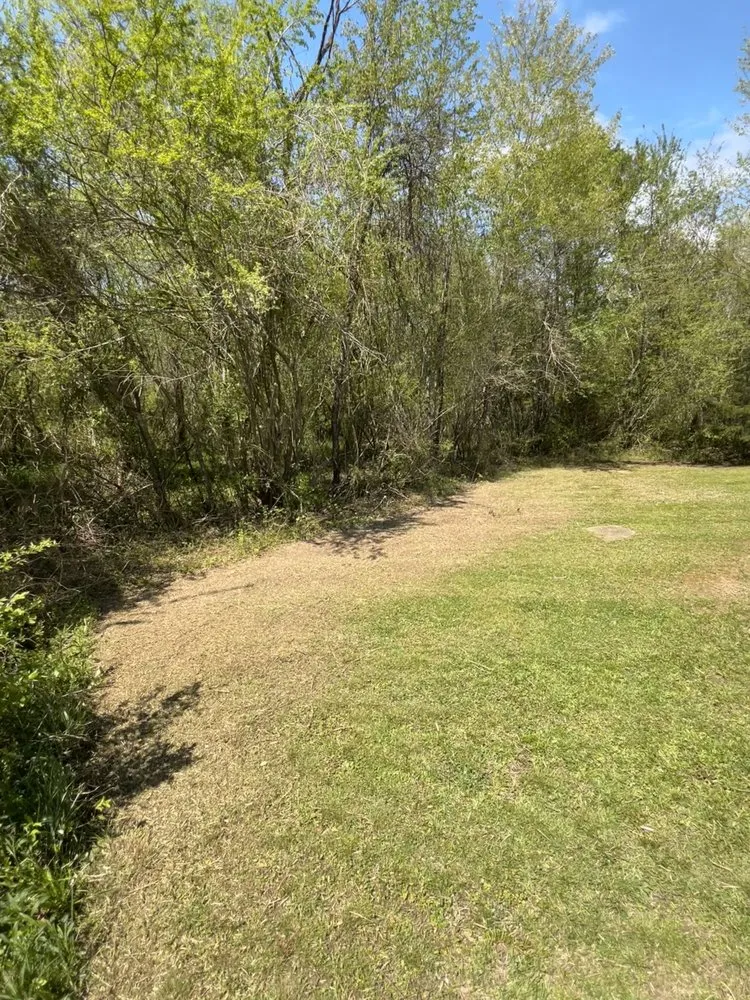 Expert lawn care service experts serving Town Creek, AL - BH Mowing