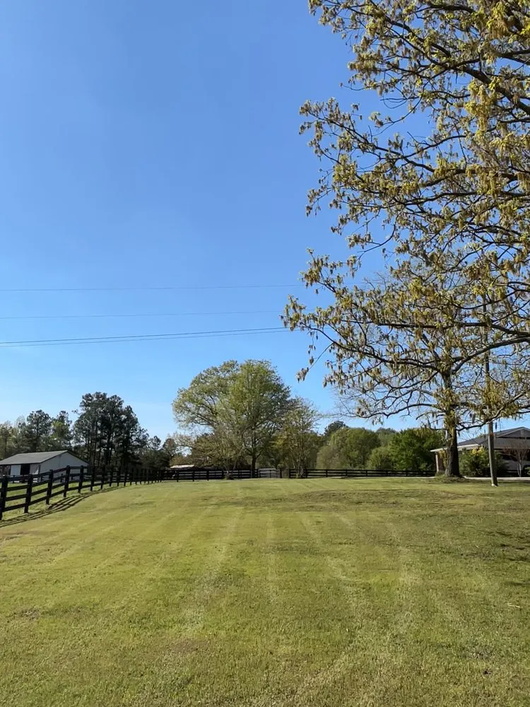 Custom landscaping services for beautiful yards across Town Creek, AL - BH Mowing