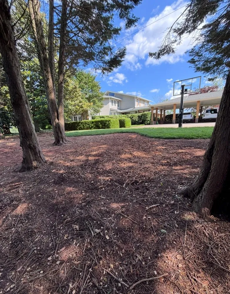 Local outdoor landscaping experts serving Anderson, SC - B&H Precision Stump Solutions