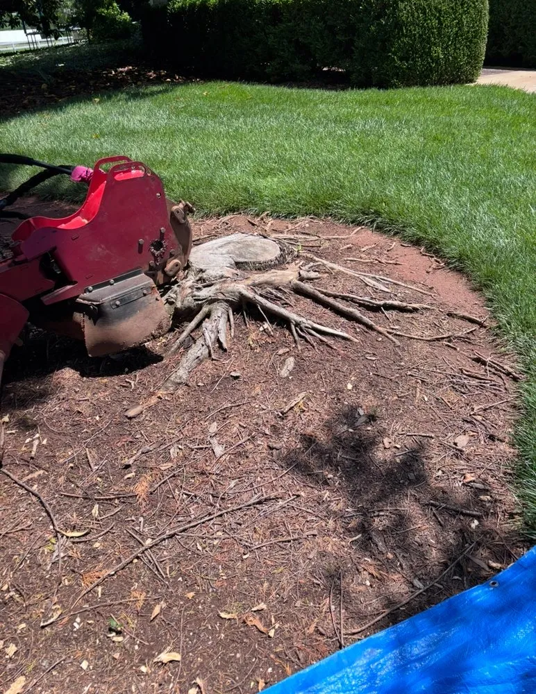 Custom lawn care service for outdoor upgrades across Anderson, SC - B&H Precision Stump Solutions