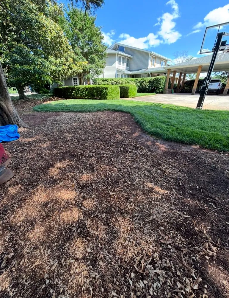 Professional lawn care service in Anderson, SC - B&H Precision Stump Solutions