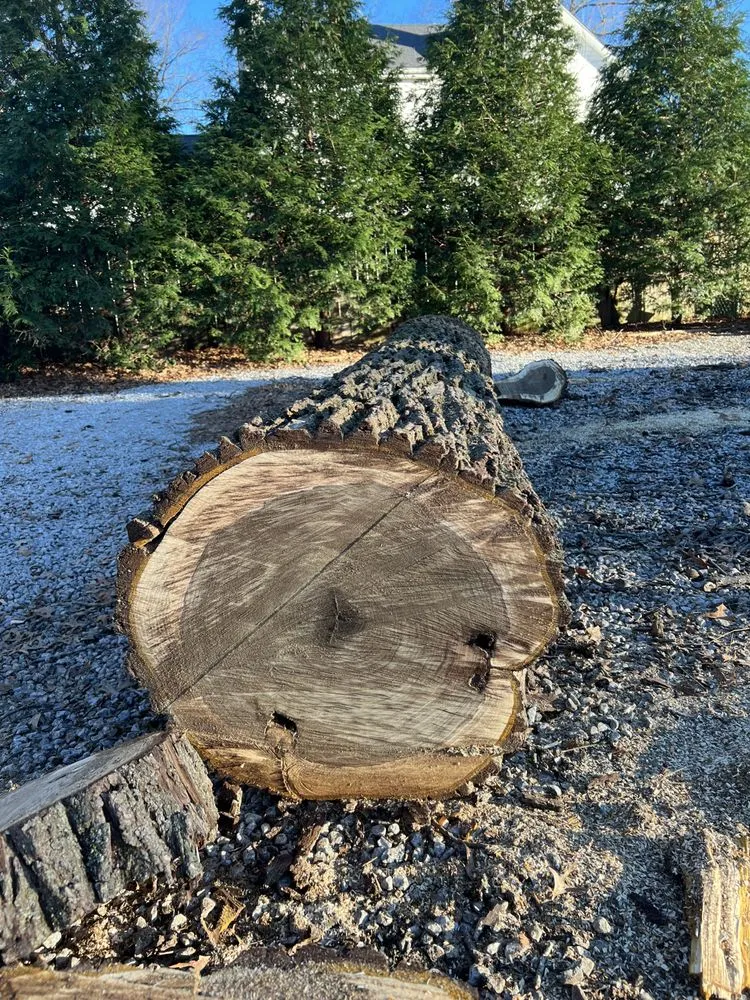 Affordable residential landscaping in Lexington, KY by B&H Tree Care