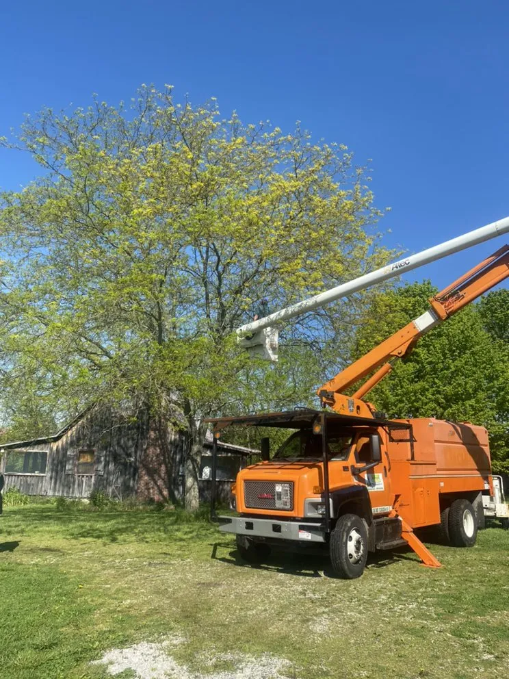 Local lawn mowing service experts serving Lexington, KY - B&H Tree Care