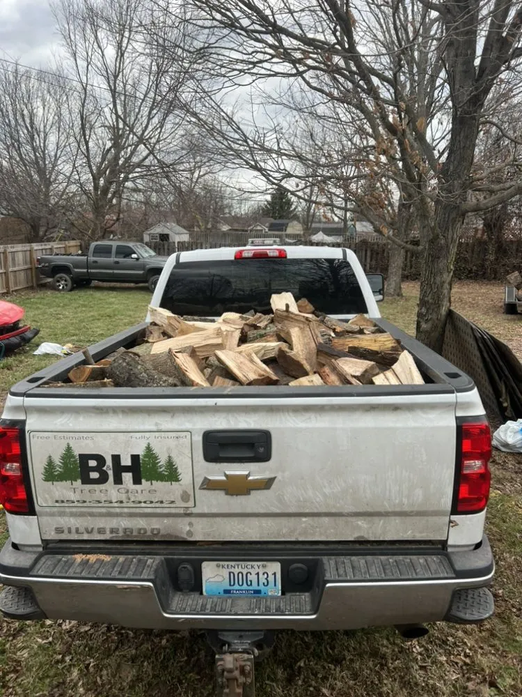 Custom lawn care service experts serving Lexington, KY - B&H Tree Care