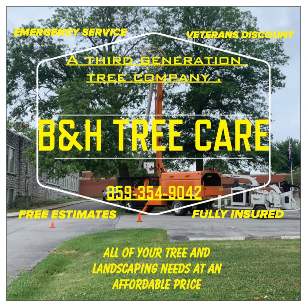 Affordable lawn mowing service in Lexington, KY by B&H Tree Care