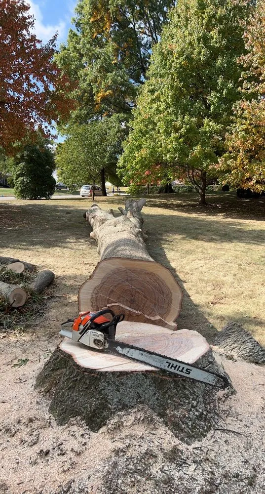 Top-rated outdoor landscaping experts serving Lexington, KY - B&H Tree Care