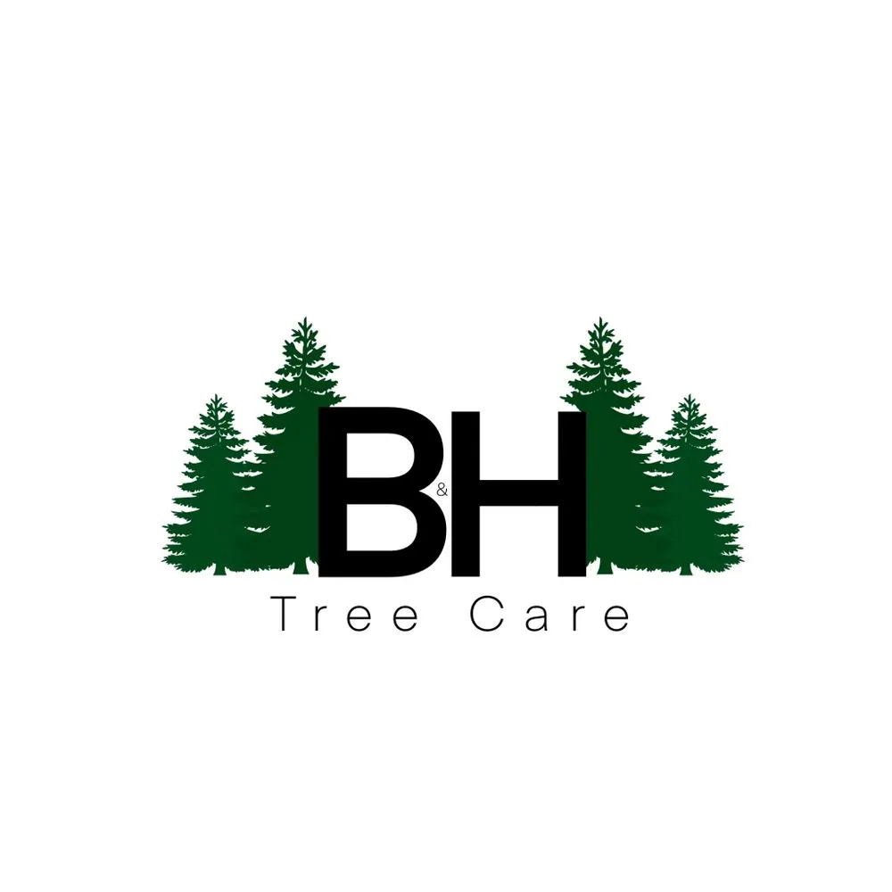 Custom garden landscaping in Lexington, KY by B&H Tree Care