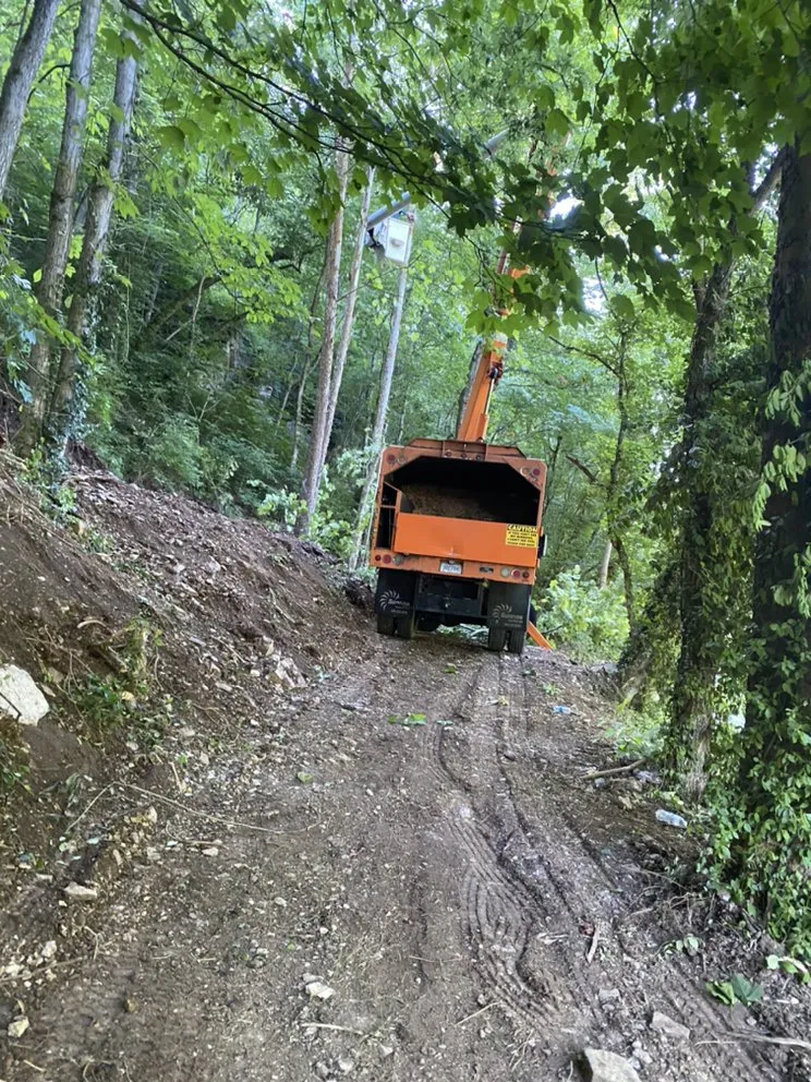 Expert landscape design in Lexington, KY by B&H Tree Care