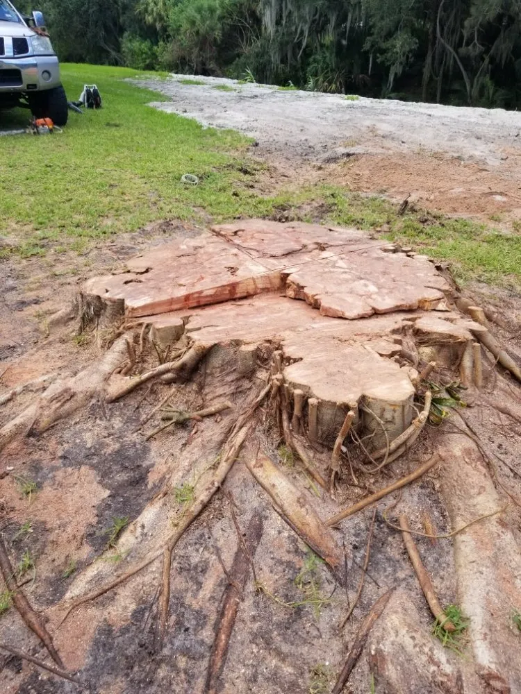 Professional lawn care service with custom design in Palm Bay, FL by BHL Tree and Land Services