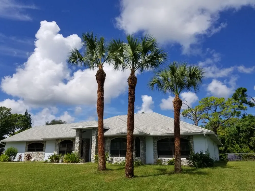 Top-rated outdoor landscaping in Palm Bay, FL by BHL Tree and Land Services