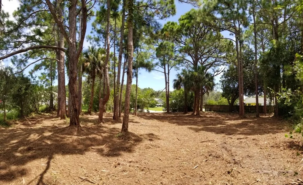 Professional landscaping services experts serving Palm Bay, FL - BHL Tree and Land Services