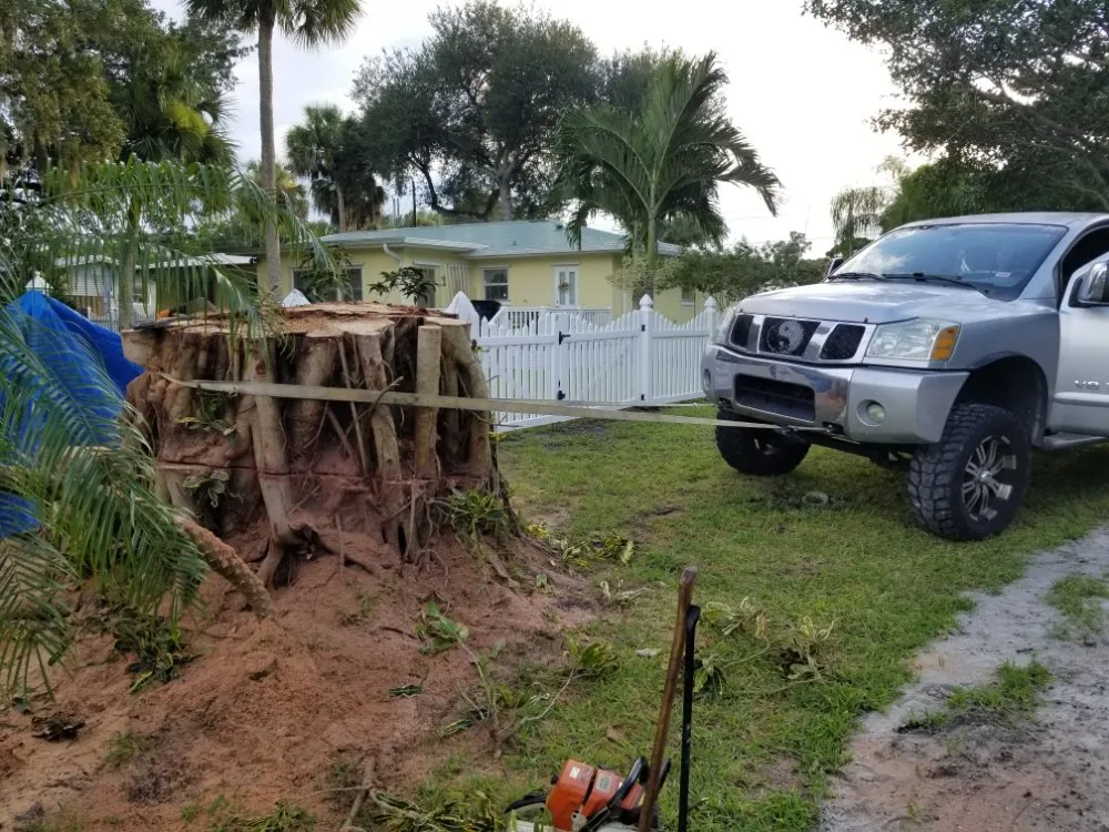 Expert landscaping services experts serving Palm Bay, FL - BHL Tree and Land Services