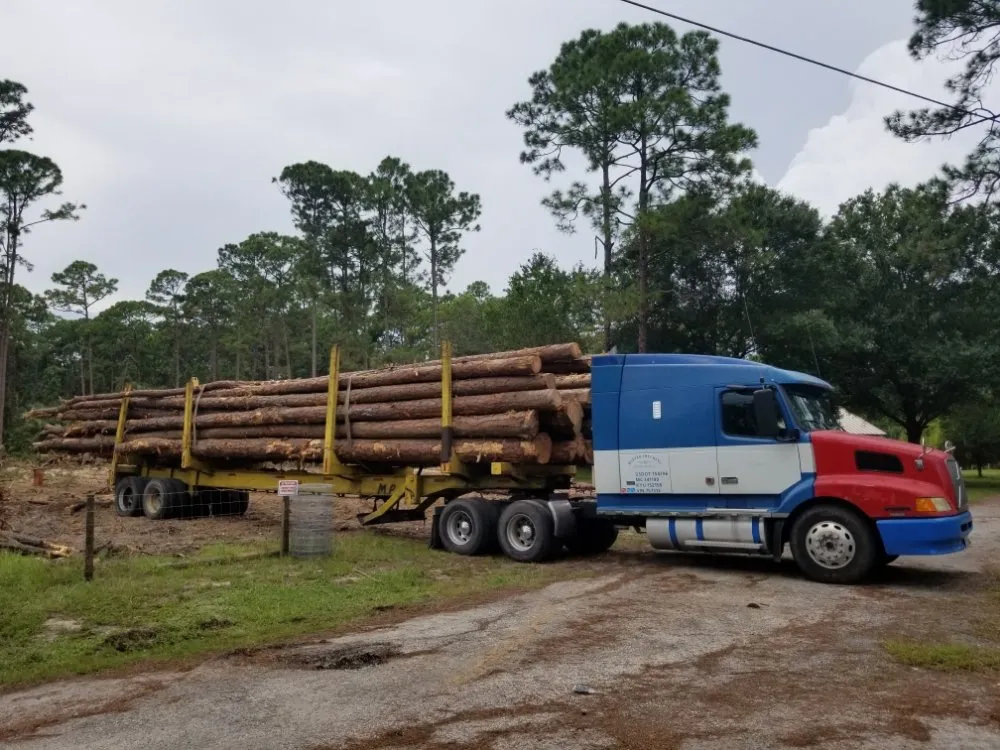 Local residential landscaping in Palm Bay, FL by BHL Tree and Land Services