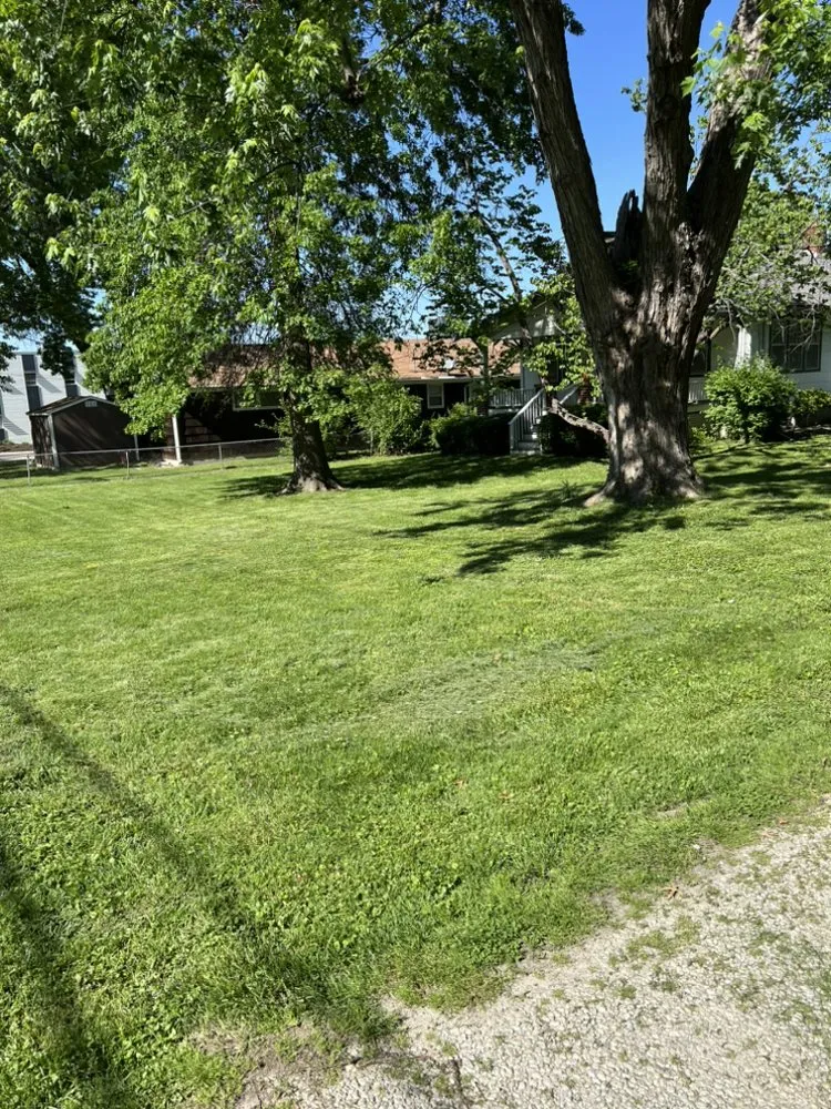 Top-rated lawn care service in Kansas City, KS - BHN Lawn Service