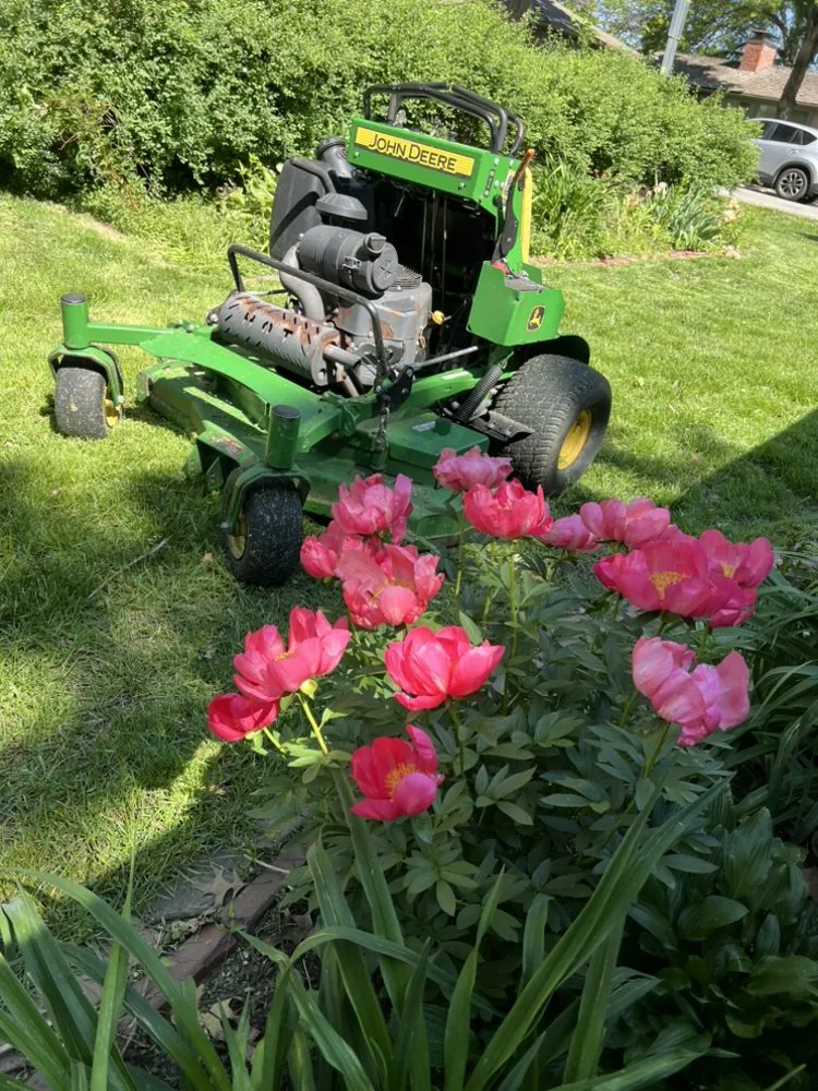 Local yard maintenance in Kansas City, KS by BHN Lawn Service