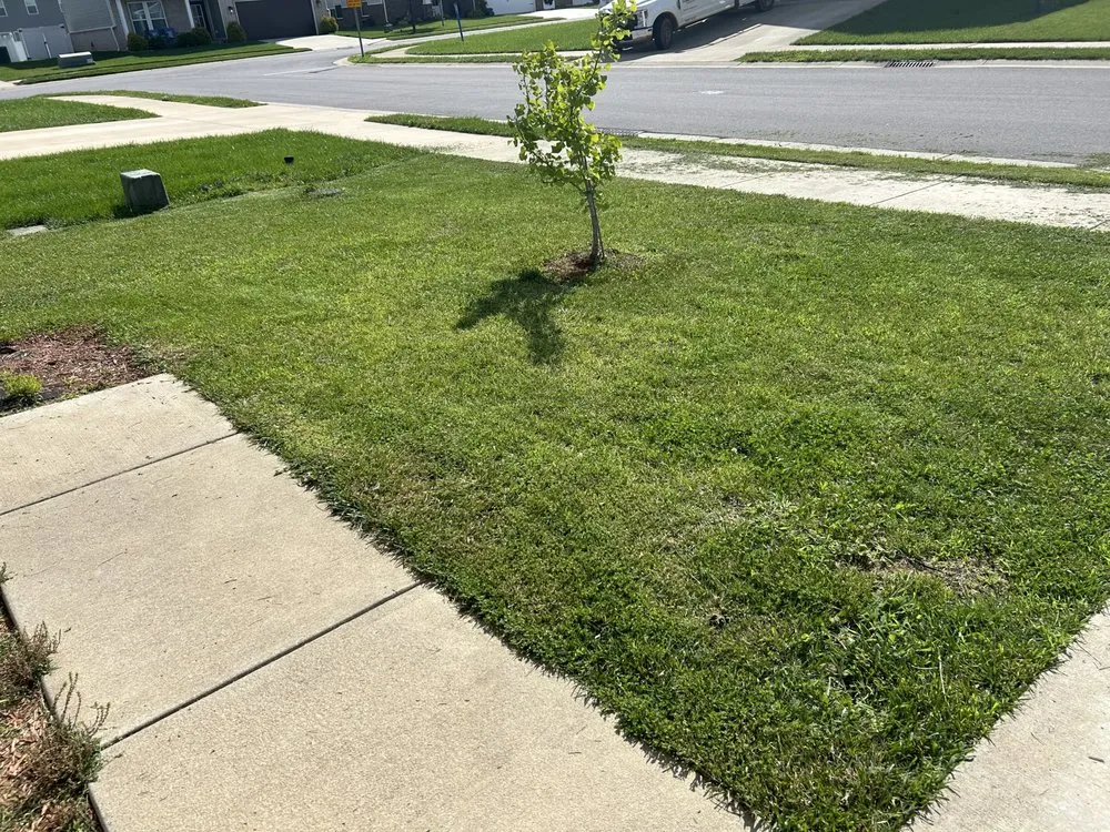 Local lawn mowing service for beautiful yards in South Bend, IN by BI Lawn Care