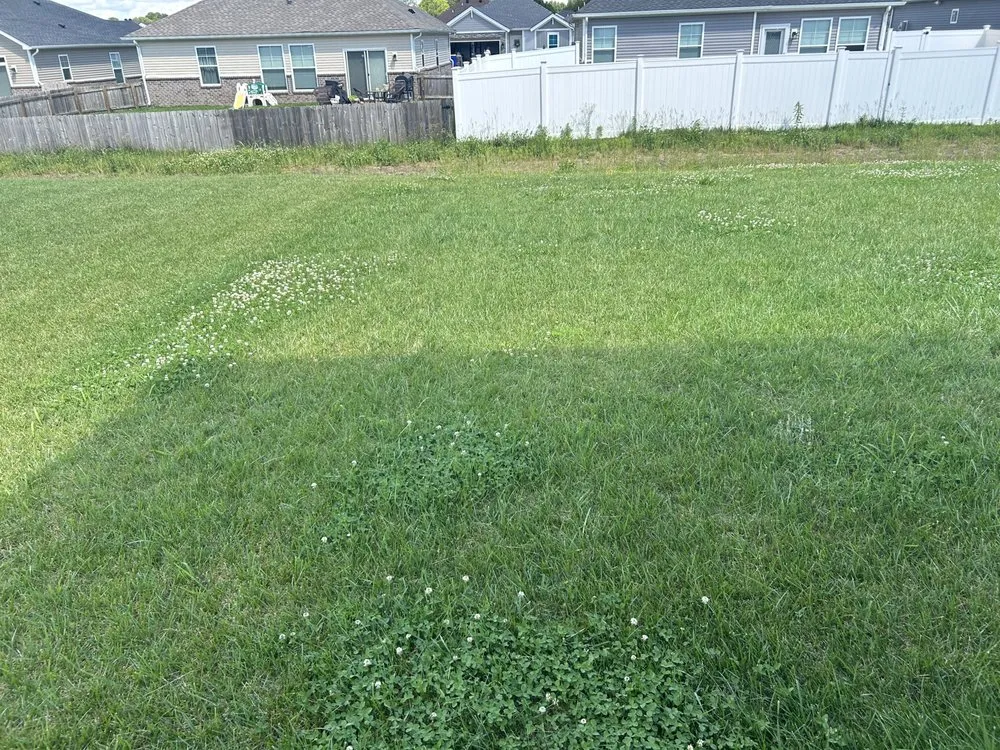 Top-rated outdoor landscaping experts serving South Bend, IN - BI Lawn Care