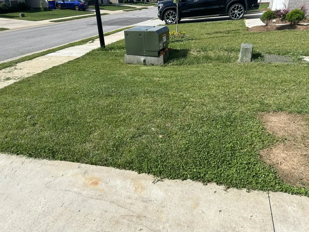 Affordable yard cleanup service for outdoor upgrades across South Bend, IN - BI Lawn Care