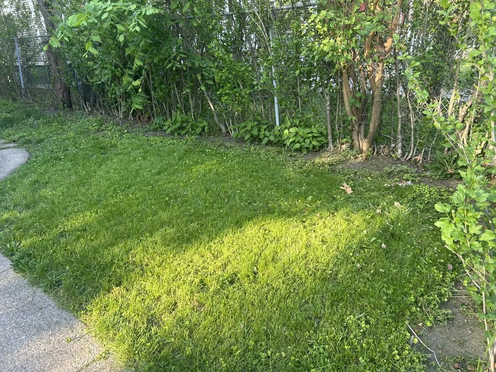 Top-rated yard cleanup service for beautiful yards in South Bend, IN by BI Lawn Care