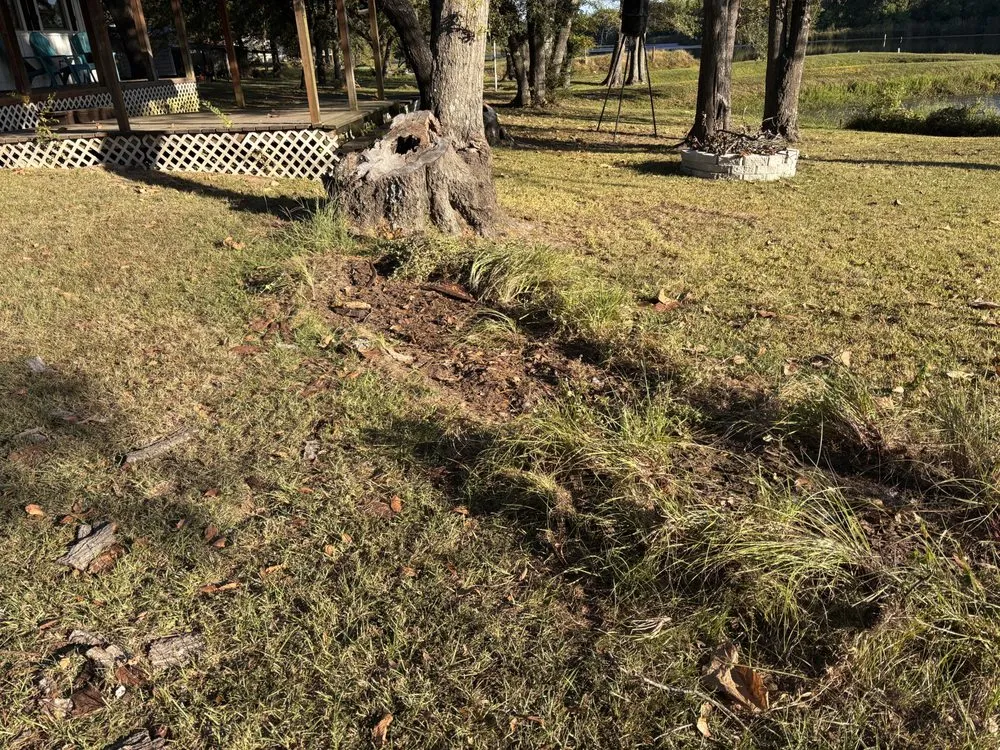 Expert garden landscaping in Teague, TX by Bi-Stone Services