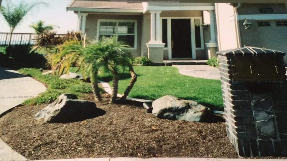 Expert yard cleanup service for year-round maintenance in West Sacramento, CA by Bianca's Landscape and Design