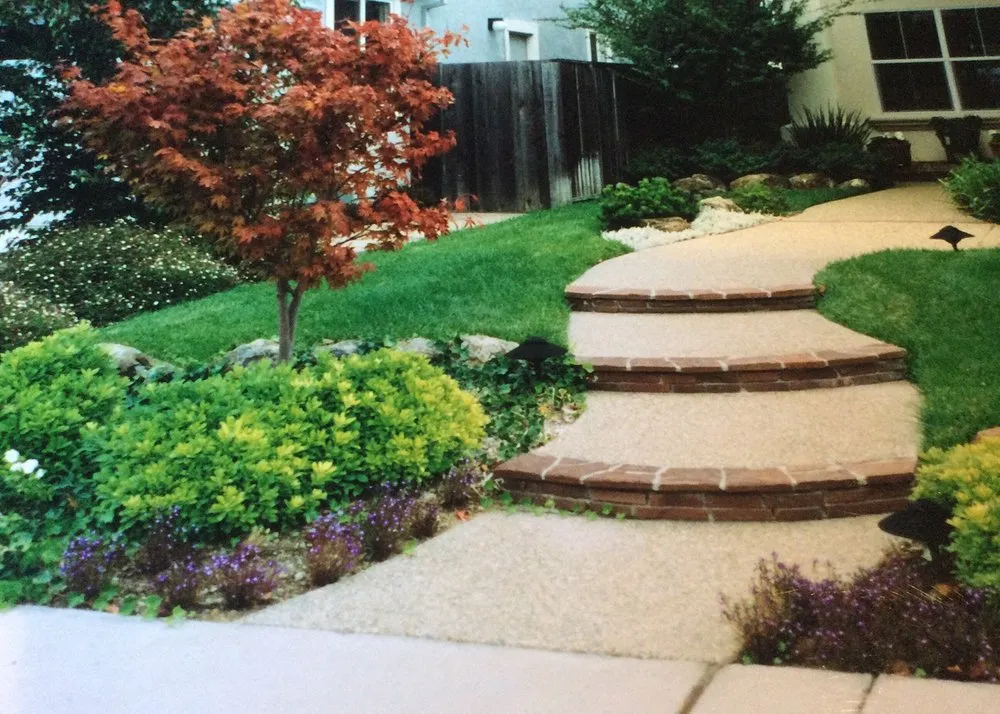 Affordable yard maintenance in West Sacramento, CA - Bianca's Landscape and Design
