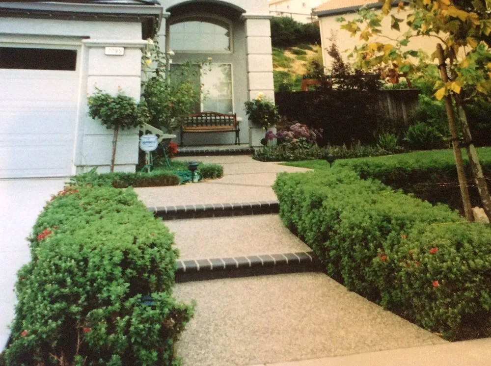 Expert yard maintenance for beautiful yards in West Sacramento, CA by Bianca's Landscape and Design
