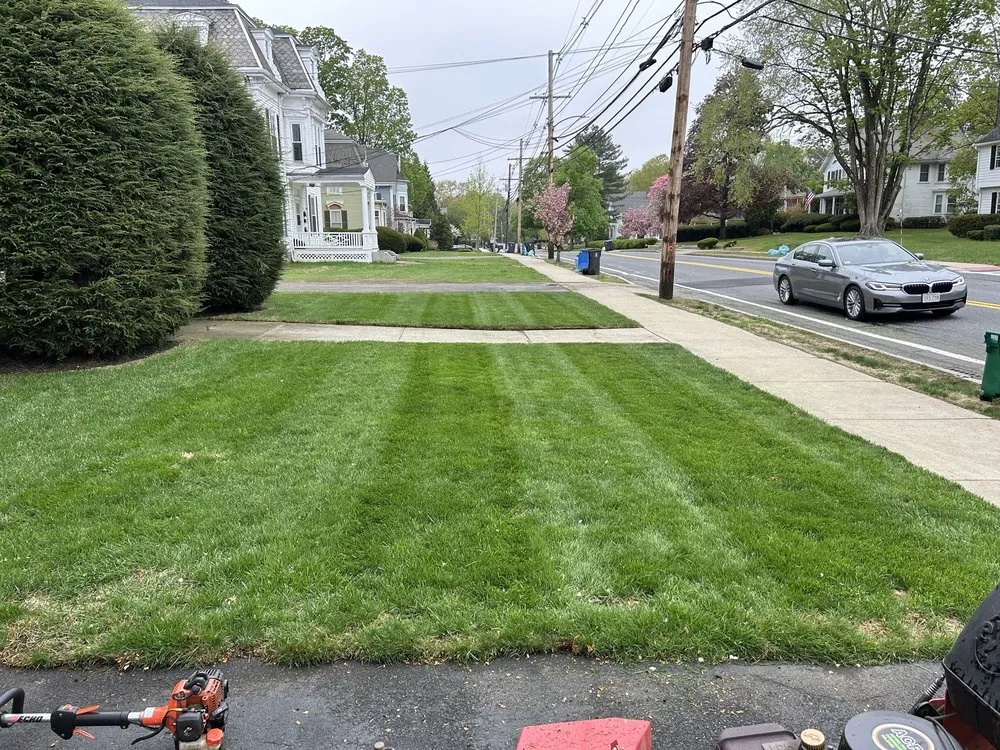 Reliable lawn mowing service experts serving Natick, MA - Bianchi Landscape
