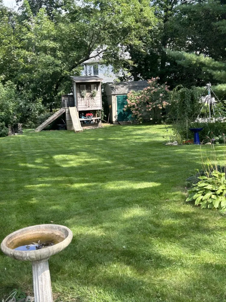 Custom yard cleanup service for residential properties in Natick, MA by Bianchi Landscape