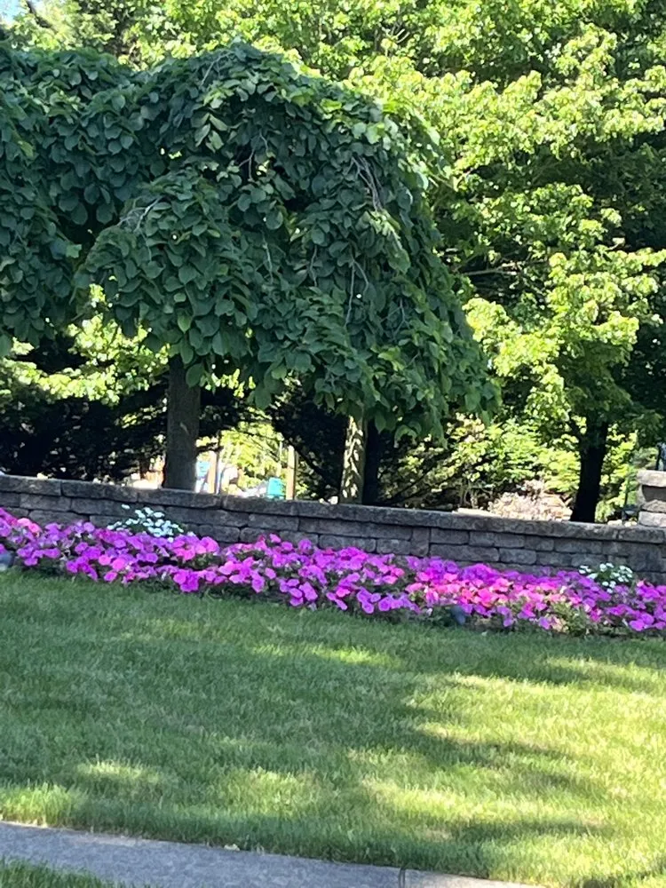 Reliable lawn care service experts serving Telford, PA - Biase Landscaping