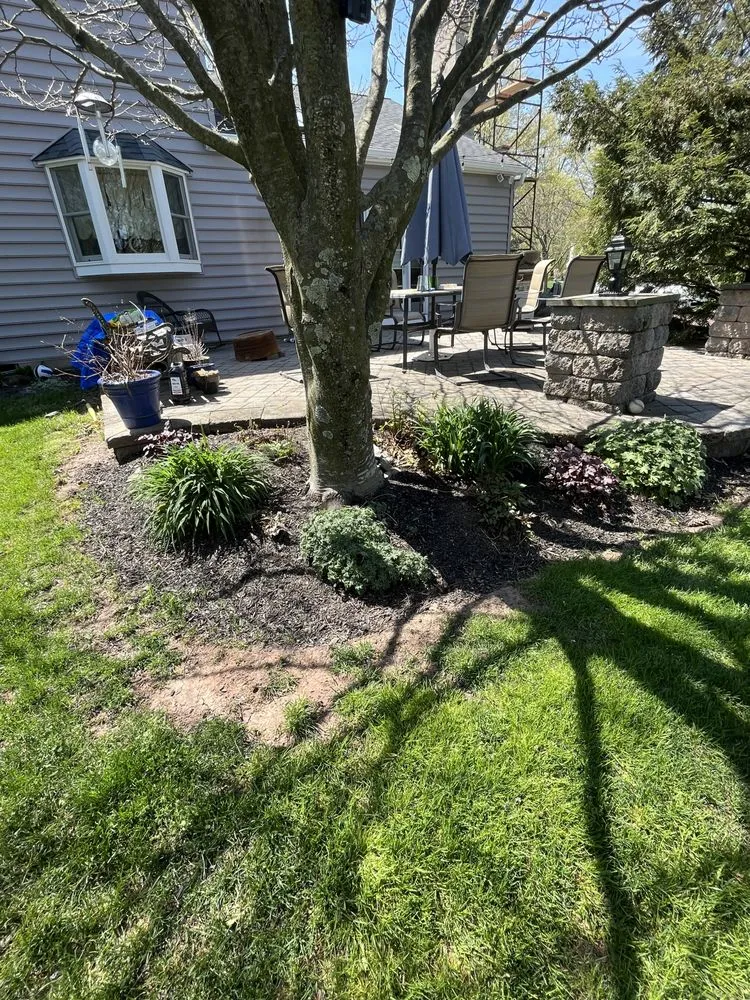 Expert yard maintenance in Telford, PA - Biase Landscaping
