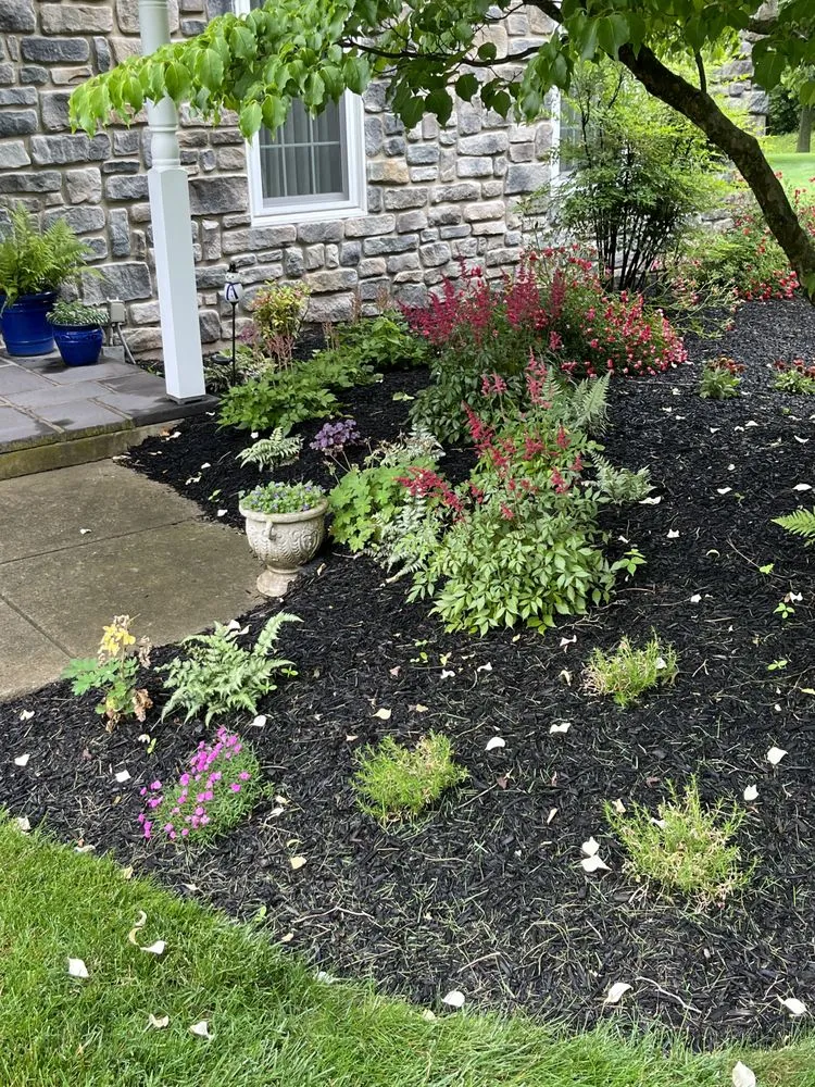 Reliable yard maintenance experts serving Telford, PA - Biase Landscaping