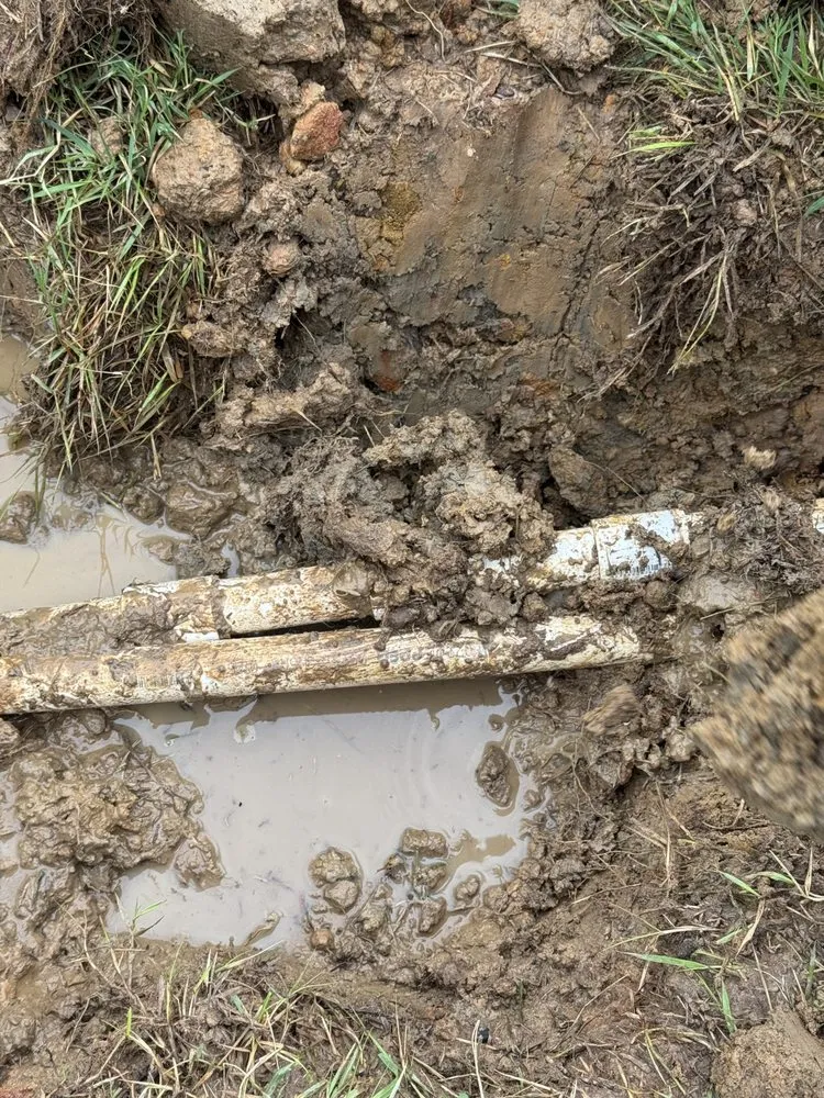 Affordable lawn care service near you across Birmingham, AL - Bibbs Landscape and Lawn Care Service