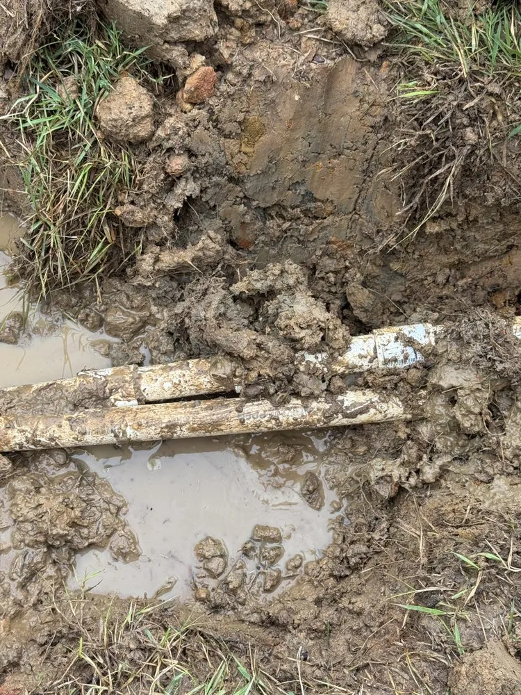 Expert outdoor landscaping in Birmingham, AL - Bibbs Landscape and Lawn Care Service