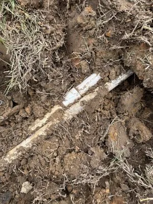 Bibbs Landscape and Lawn Care Service Logo