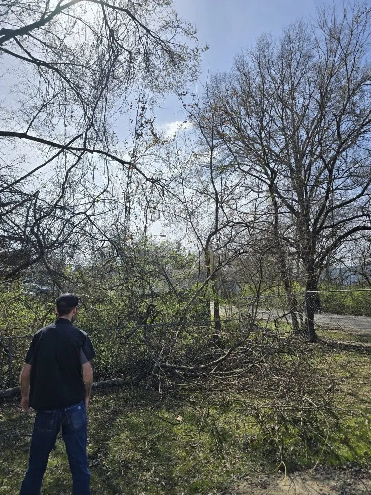 Reliable yard maintenance in Rossville, GA - Bibles Lawn & Tree