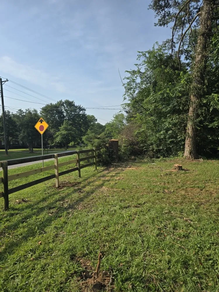 Reliable outdoor landscaping for homes across Rossville, GA - Bibles Lawn & Tree