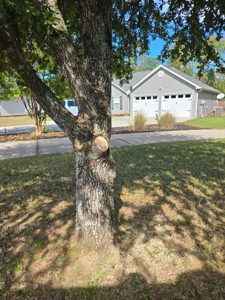 Professional residential landscaping with custom design across Rossville, GA - Bibles Lawn & Tree