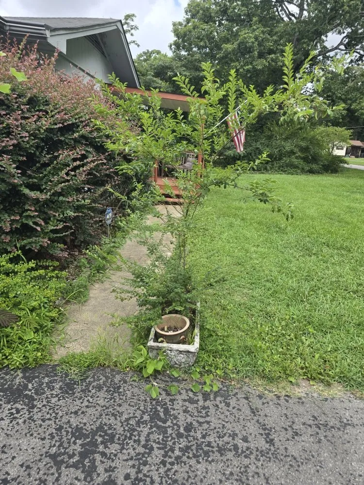 Expert landscape installation near you across Rossville, GA - Bibles Lawn & Tree