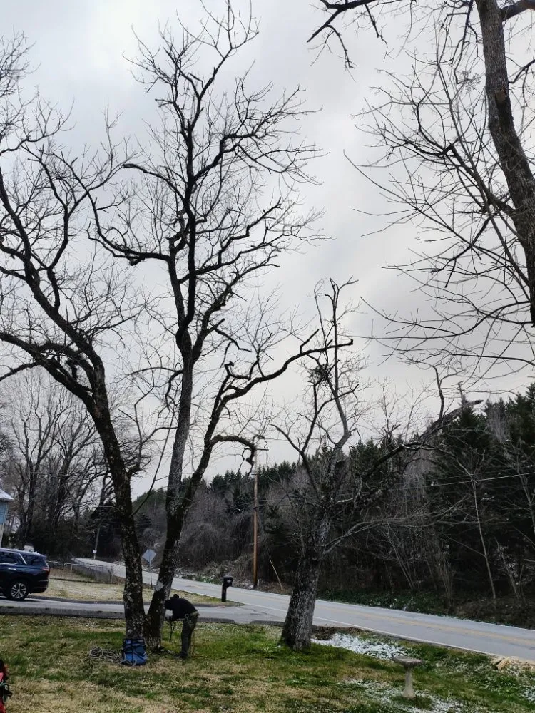 Custom yard maintenance in Rossville, GA - Bibles Lawn & Tree