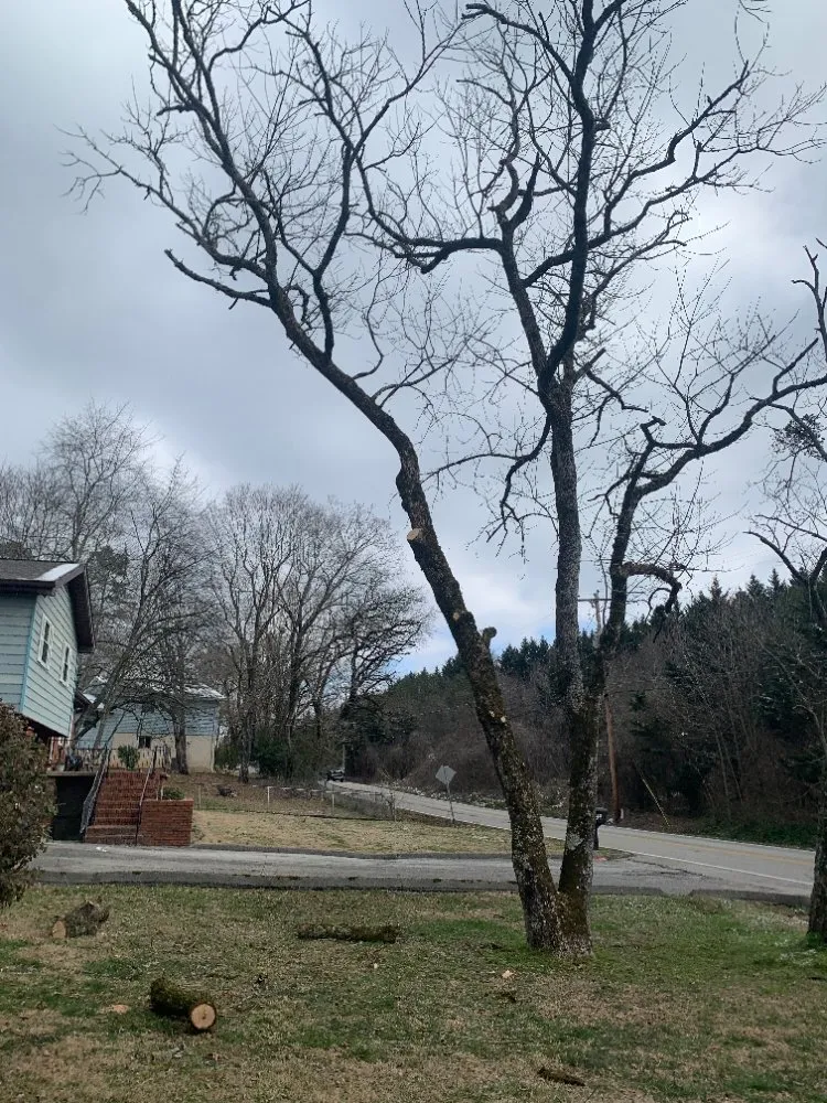 Affordable outdoor landscaping in Rossville, GA by Bibles Lawn & Tree