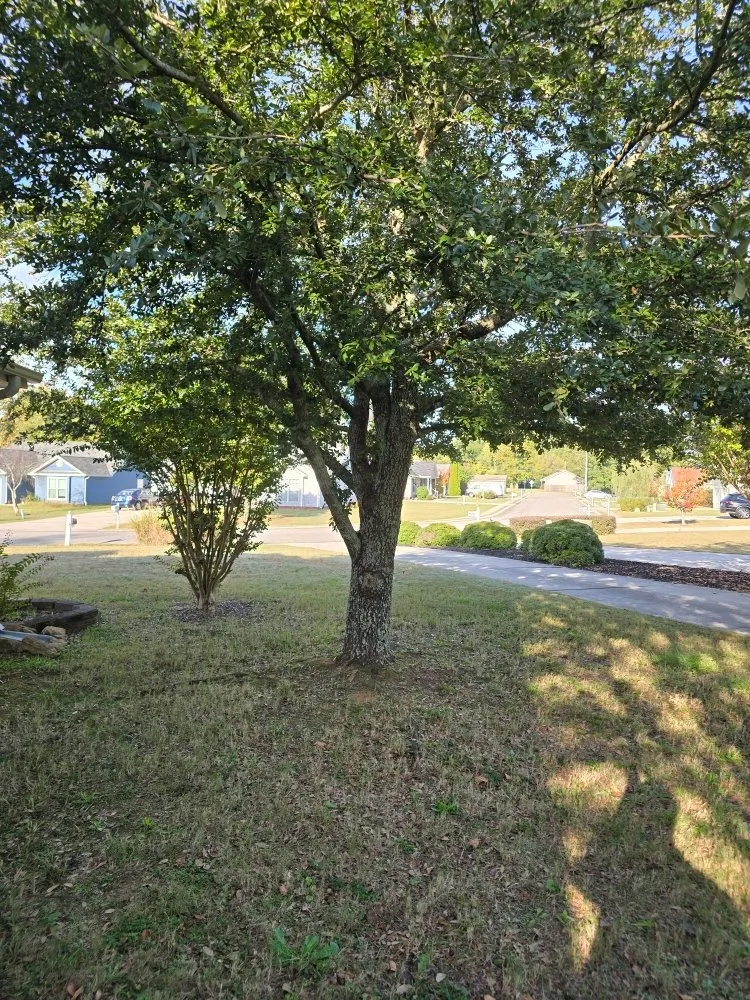 Reliable outdoor landscaping in Rossville, GA by Bibles Lawn & Tree