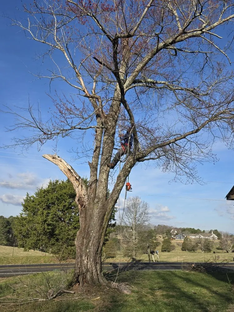 Professional garden landscaping in Rossville, GA by Bibles Lawn & Tree