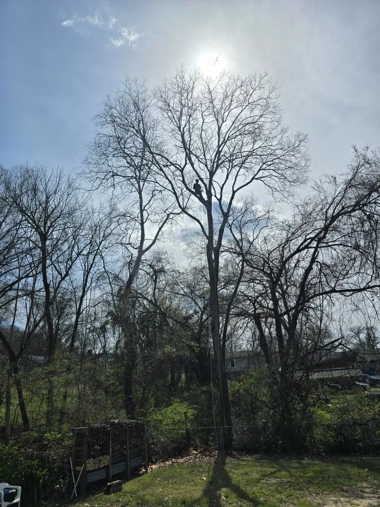 Affordable lawn care service for residential properties in Rossville, GA by Bibles Lawn & Tree