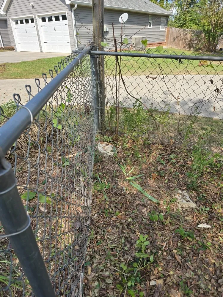 Trusted residential landscaping with custom design across Rossville, GA - Bibles Lawn & Tree