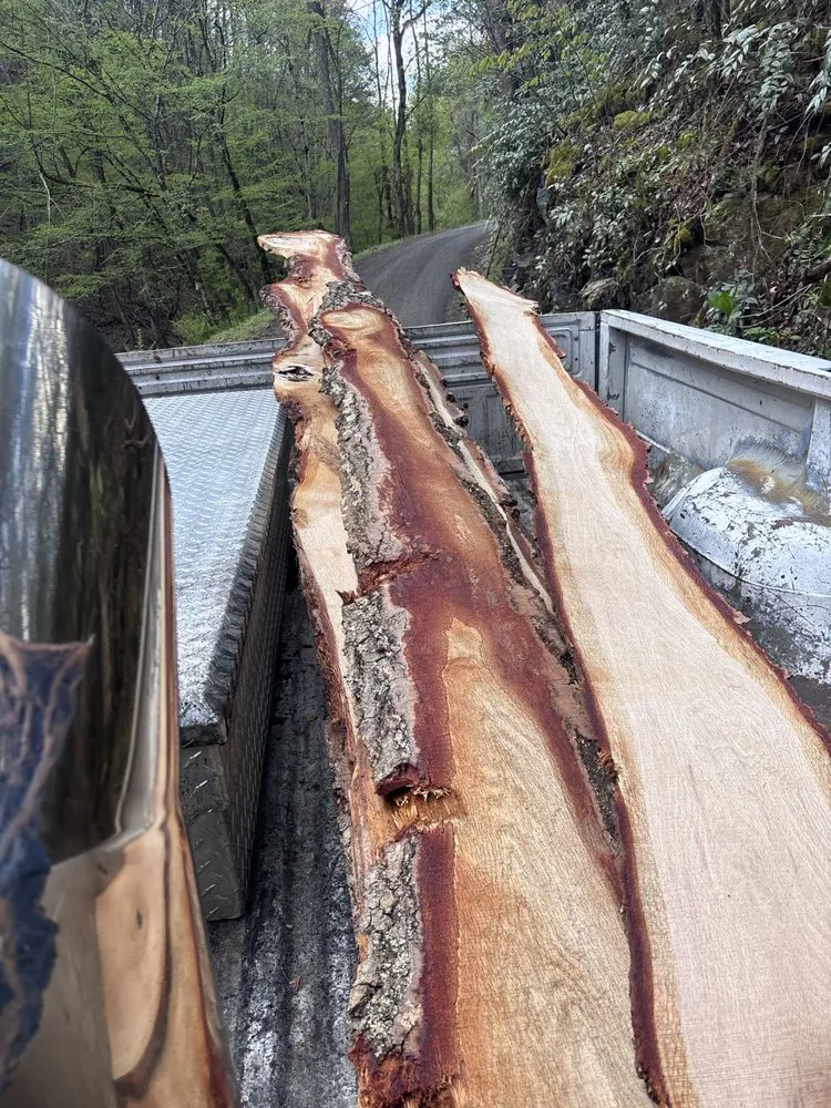 Reliable lawn mowing service in Sevierville, TN - Bice Landscape & Excavating