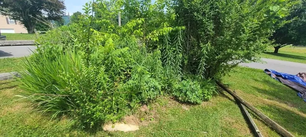 Professional outdoor landscaping for year-round maintenance in Sevierville, TN by Bice Landscape & Excavating