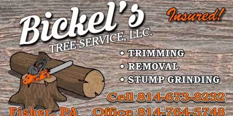 Custom yard maintenance with custom design across Fisher, PA - Bickel's Tree Service