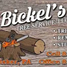 Top-rated yard cleanup service in Fisher, PA by Bickel's Tree Service
