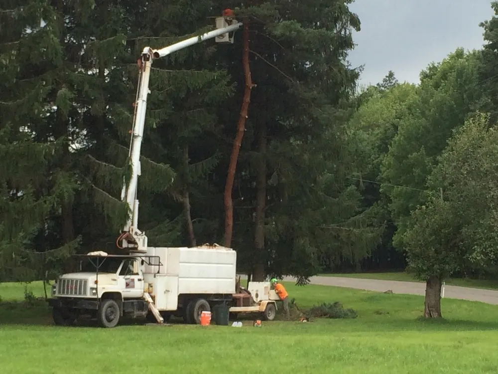 Reliable landscape installation experts serving Fisher, PA - Bickel's Tree Service